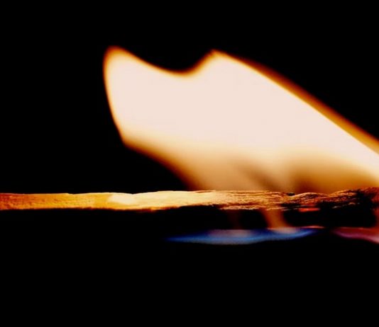 Cardano Soars 13% On Reports Of Burn System Rollout, Charles Hoskinson Responds