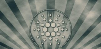 In Spite Of Rocky Beginnings with Hoskinson, Cardano Is Forming Up to Have a Fascinating Year