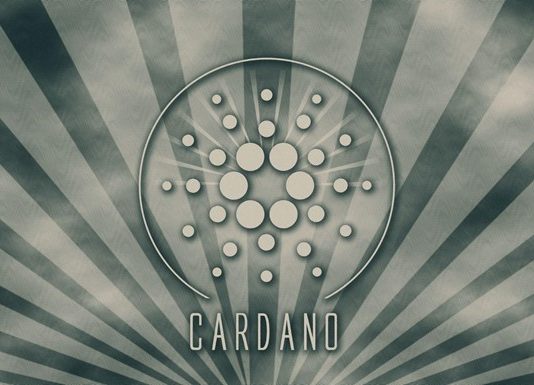 In Spite Of Rocky Beginnings with Hoskinson, Cardano Is Forming Up to Have a Fascinating Year