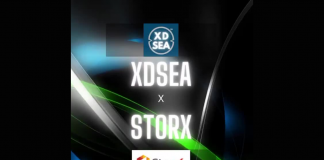StorX Network Ends Up Being the Response to XDSea Market’s Storage Requirements
