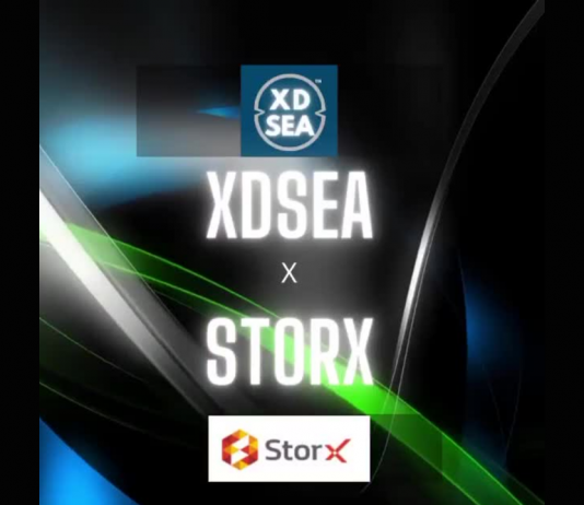 StorX Network Ends Up Being the Response to XDSea Market’s Storage Requirements
