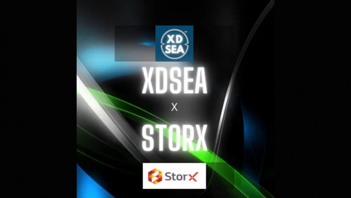 StorX Network Ends Up Being the Response to XDSea Market’s Storage Requirements