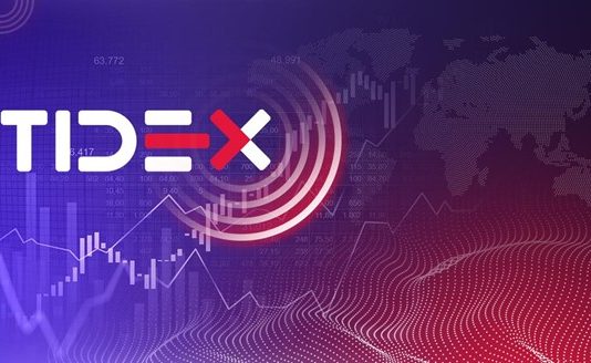 The Tidex crypto exchange group revealed their launchpad and metaverse