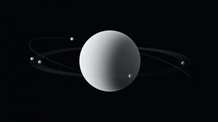 Why QuickSwap Will Split Token After Neighborhood Vote, Fast Increases By 30%