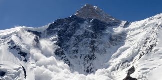 Here Are The Crypto Leading The Marketplace Healing With 50% Gains