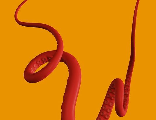 Light Speed: Kraken, Another Giant Exchange Incorporates The Lightning Network