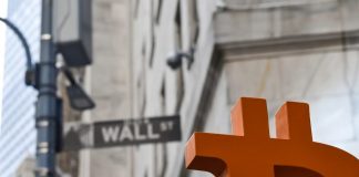 Bitcoin cost passing $1 million ways society has actually collapsed, early financier cautions