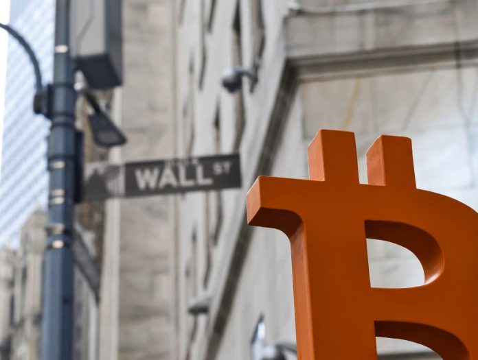 Bitcoin cost passing $1 million ways society has actually collapsed, early financier cautions