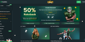 What Is Duelbits? A Take a look at the Crypto Gambling Establishment & & Sportsbook Platform