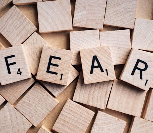 Crypto Market Enters Into “Extreme Worry”, What’s Next?