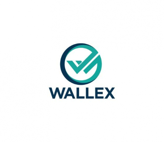 A Peek Into the Wallex Environment