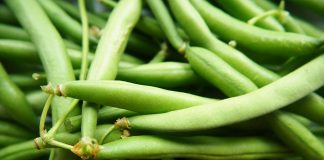 DeFi Stablecoin Platform Beanstalk Suffers ~$80 M Hack