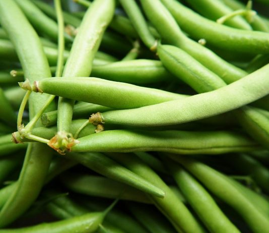 DeFi Stablecoin Platform Beanstalk Suffers ~$80 M Hack