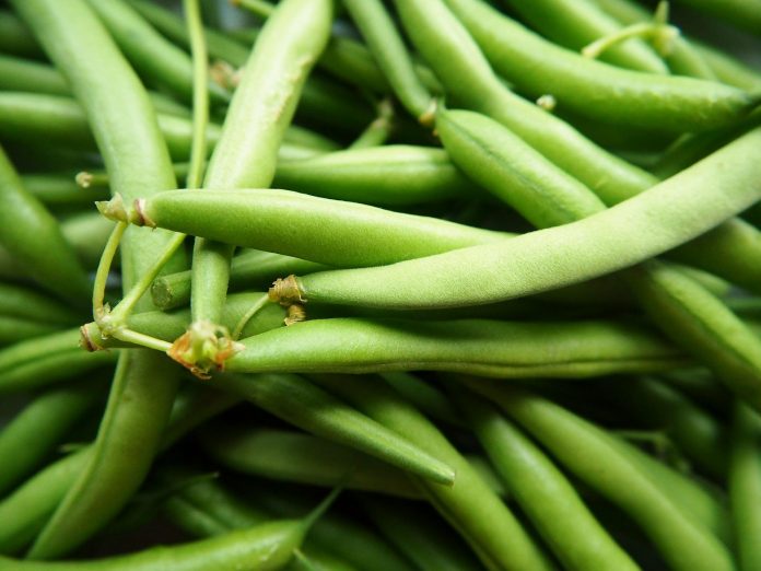 DeFi Stablecoin Platform Beanstalk Suffers ~$80 M Hack