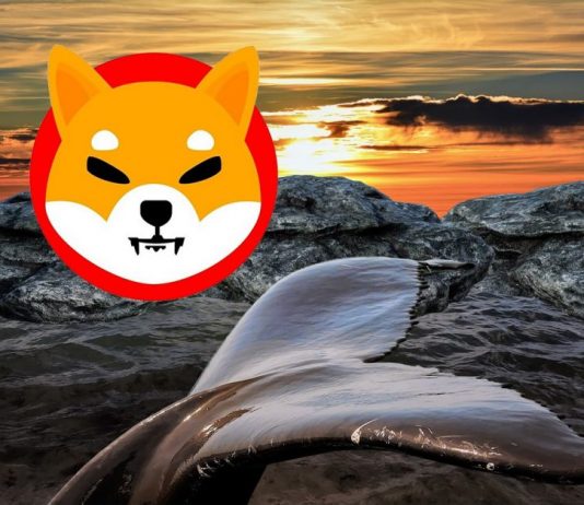 Leading Ethereum Whales Now Hold Practically $1.5 Billion Worth Of SHIB