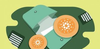 New Wallets Rise On Cardano, What lags This?