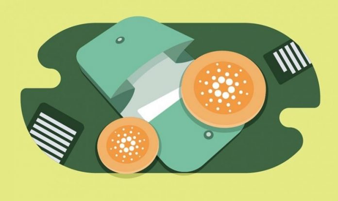 New Wallets Rise On Cardano, What lags This?