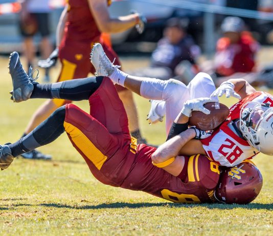 Could Netflix Tumble Down The Crypto Market?