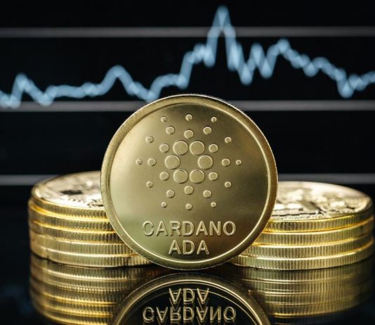 Cardano (ADA) Is Among The Worst Carrying Out Crypto In Regards To Earnings