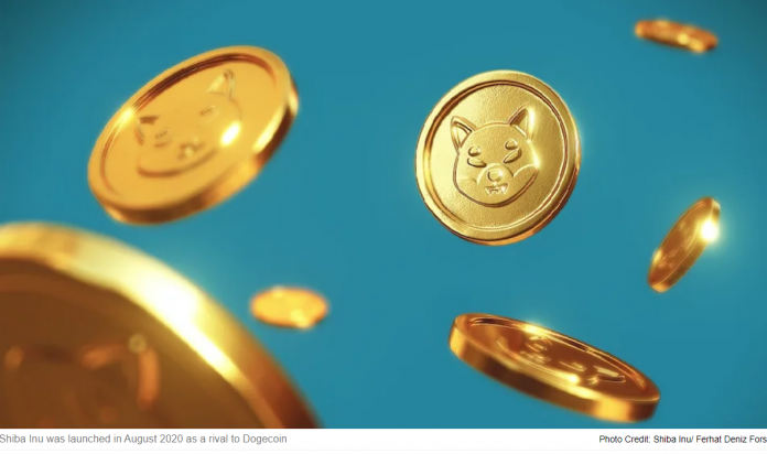 Move Over Bitcoin– Is Shiba Inu The Next Crypto Gold?