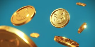 Shiba Inu Might Be Bearish, However This Pattern Recommends Otherwise
