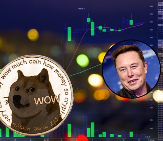 Dogecoin (DOGE) Leaps 30% After Elon Musk Purchases Twitter