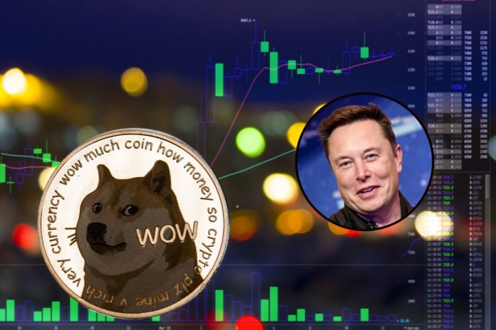 Dogecoin (DOGE) Leaps 30% After Elon Musk Purchases Twitter