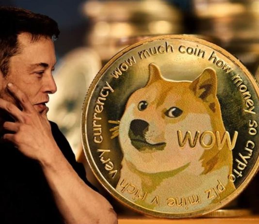 Dogecoin (DOGE) Trading Volume Plunges– Here’s Why
