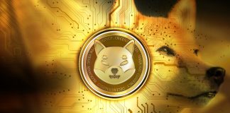 SHIB Soars 10% As Whale Purchases 219 Billion Tokens