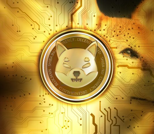 SHIB Soars 10% As Whale Purchases 219 Billion Tokens