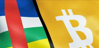 Bitcoin voted main currency of Main African Republic