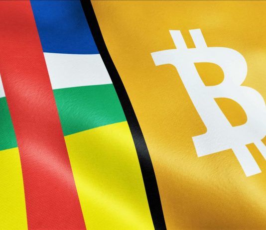 Bitcoin voted main currency of Main African Republic Bitcoin voted main currency of Main African Republic