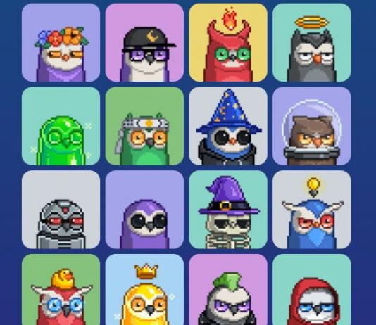 Blue Chip NFTs 101– How Did Moonbirds Conquer The World In A Bearish Market?