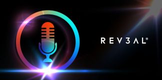 The One Option That Might Remove NFT Scams