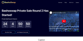 Multi Procedure Decentralized Exchange Bashoswap Is Set to Release It’s DEX on Cardano