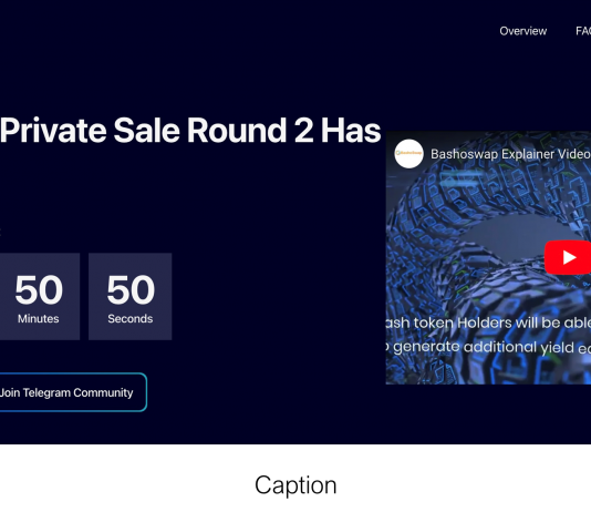 Multi Procedure Decentralized Exchange Bashoswap Is Set to Release It’s DEX on Cardano