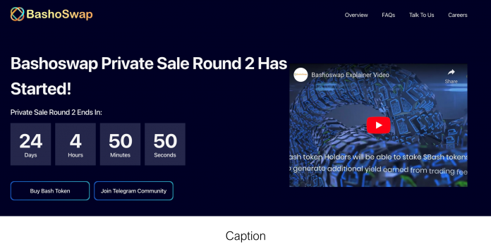 Multi Procedure Decentralized Exchange Bashoswap Is Set to Release It’s DEX on Cardano