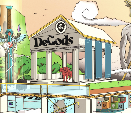 Blue Chip NFTs 101– A Short Take a look at Solana’s ‘DeGods’