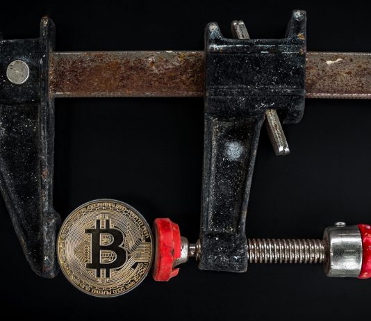 Bitcoin Cost Crashes Listed Below $30 K As Markets Program Indications Of Fear