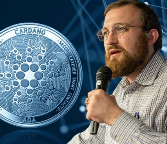The Length Of Time Will The CryptoWinter Last? Cardano Creator Offers Responses