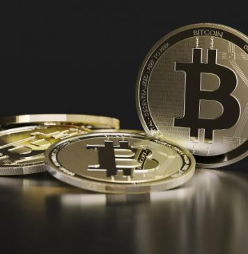 Crypto Carnage Triggers Flight To Bitcoin Safe House, Supremacy Shows Crypto Carnage Triggers Flight To Bitcoin Safe House, Supremacy Shows