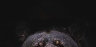 Bitcoin Selling Pressure Continues As Long-Term Holder SOPR Spikes Up