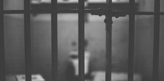 BitMEX Mastermind Arthur Hayes Pleads Guilty, Avoids Prison Time