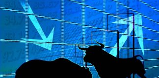 Bitcoin Cost Might Fall To $8,000, States Guggenheim CIO Bitcoin Cost Might Fall To $8,000, States Guggenheim CIO