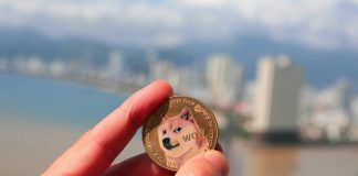 5 Up-and-Coming DOGE Projects that May be Worth Your Cash