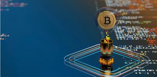 Bitcoin On-Chain Activity Throttled After LUNA Collapse