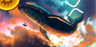 XRP Whales Increase Build-up Cravings, Register 2-Month Peak Holding Supply