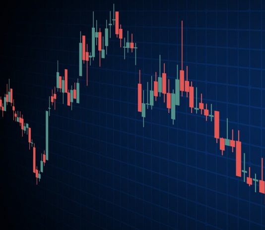 Crypto rate crash brought on by 7 ‘whale’ traders, scientists discover