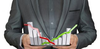 Crypto Expert States Cardano, Avalanche and 2 Others Have Possible To Carry Out Well In Bear Pattern