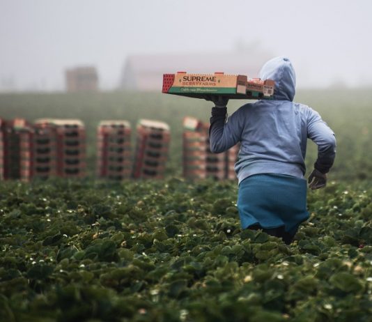 Mr. Wonderful-Backed Green Bitcoin Mining Endeavor To Construct $500 M HQ In N. Dakota